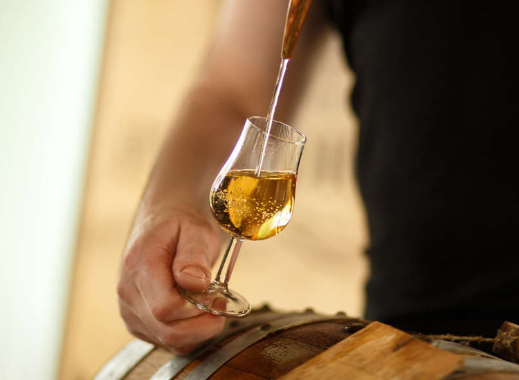 Brandy från vin: Hur alkohol omvandlas till brandy