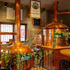 5BBL Bar Micro Craft Beer Equipment / Brewery System DEGONG