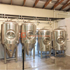 Från 500L-200HL Tillgänglig alla storlekar European Certified Unitanks fermentorer bryggutrustning